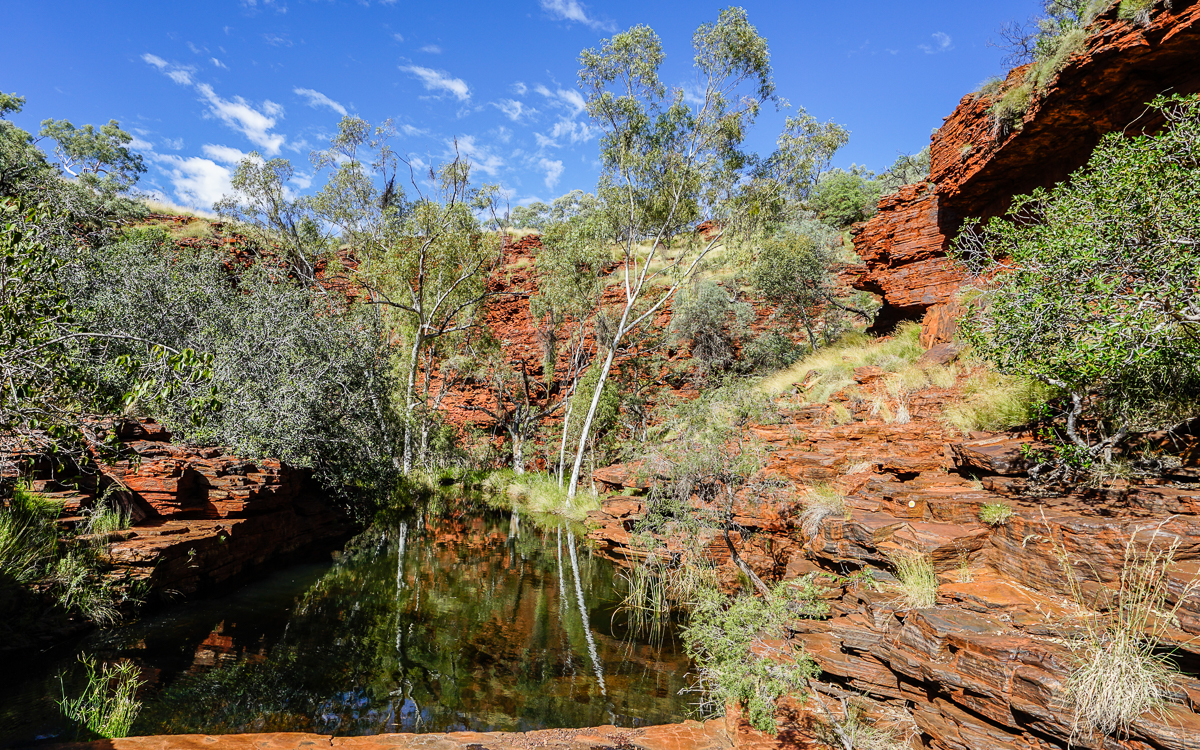 Weano Gorge Pool, Karijini Nationalpark