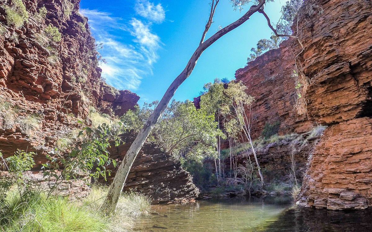 Karijini Nationalpark, Weg zum Handrail Pool