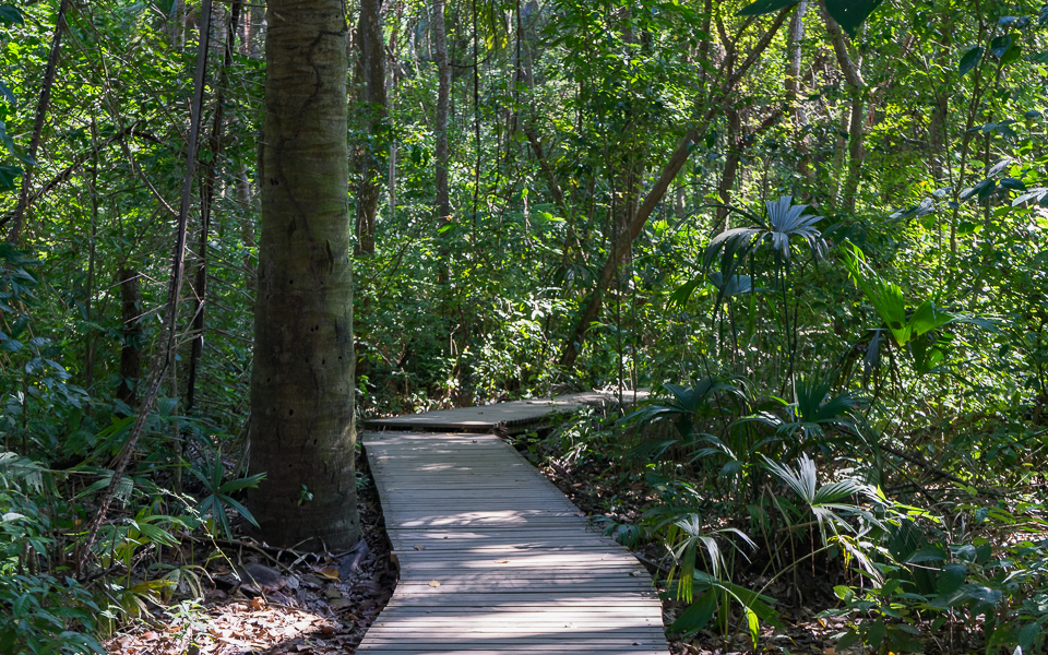 Tayrona Nationalpark Holzstege