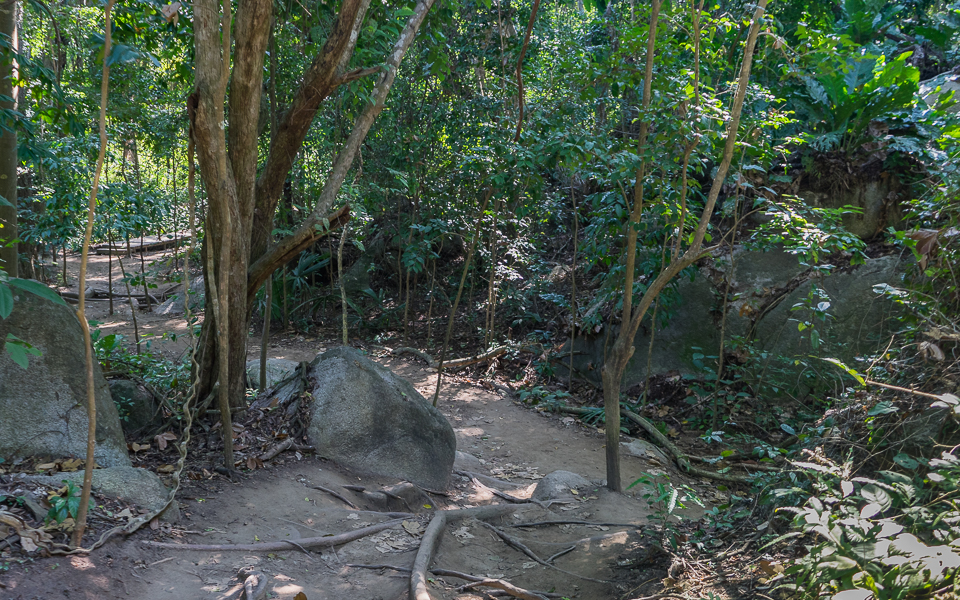Tayrona Nationalpark | Wanderung