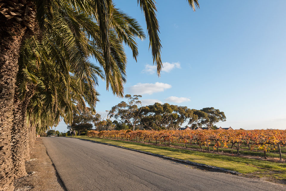 Barossa Valley Chateau Tanunda Weinregion