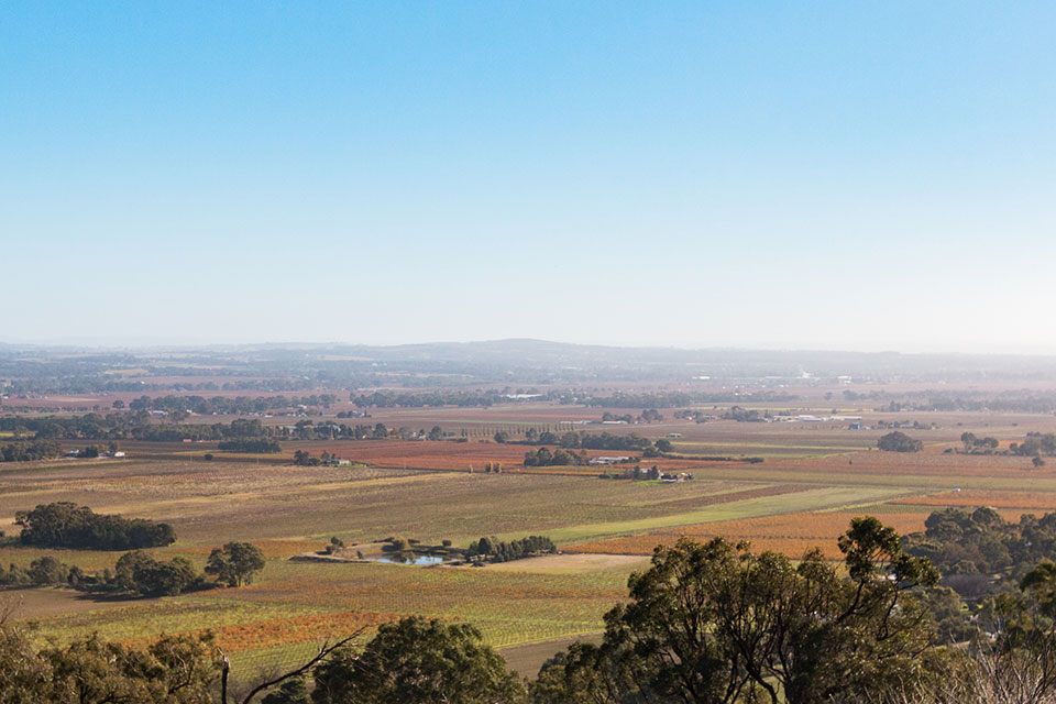 Mengler Hill Lookout Barossa Valley