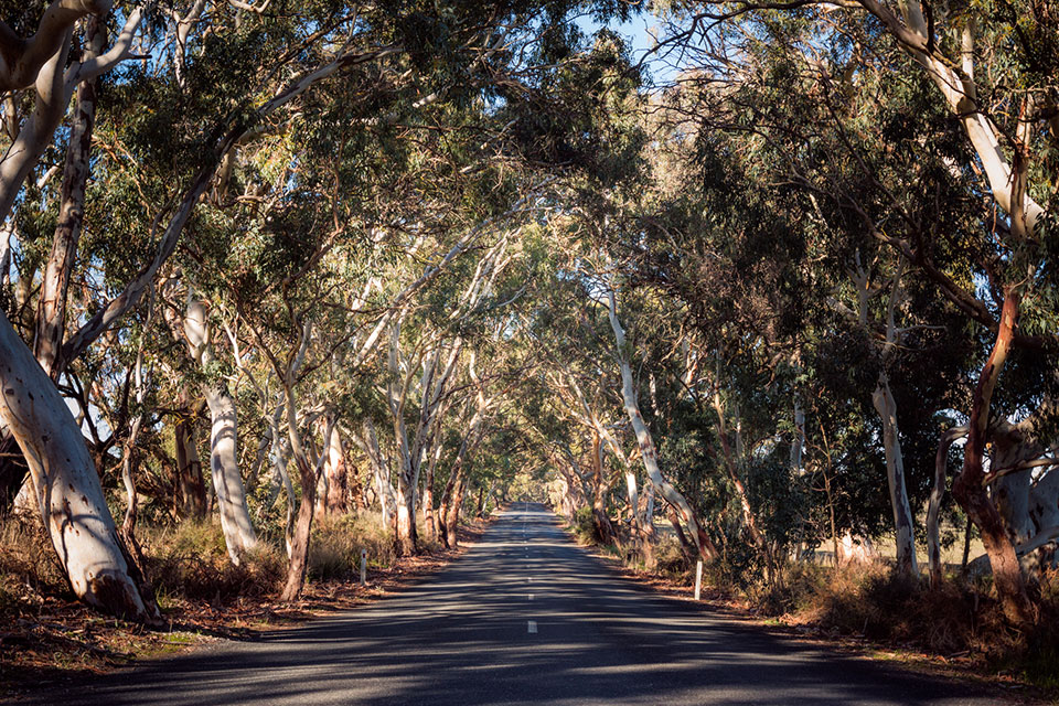 Straßen im Barossa Valley Südaustralien