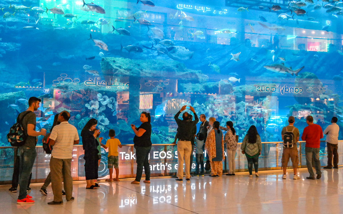 Dubai Mall Aquarium