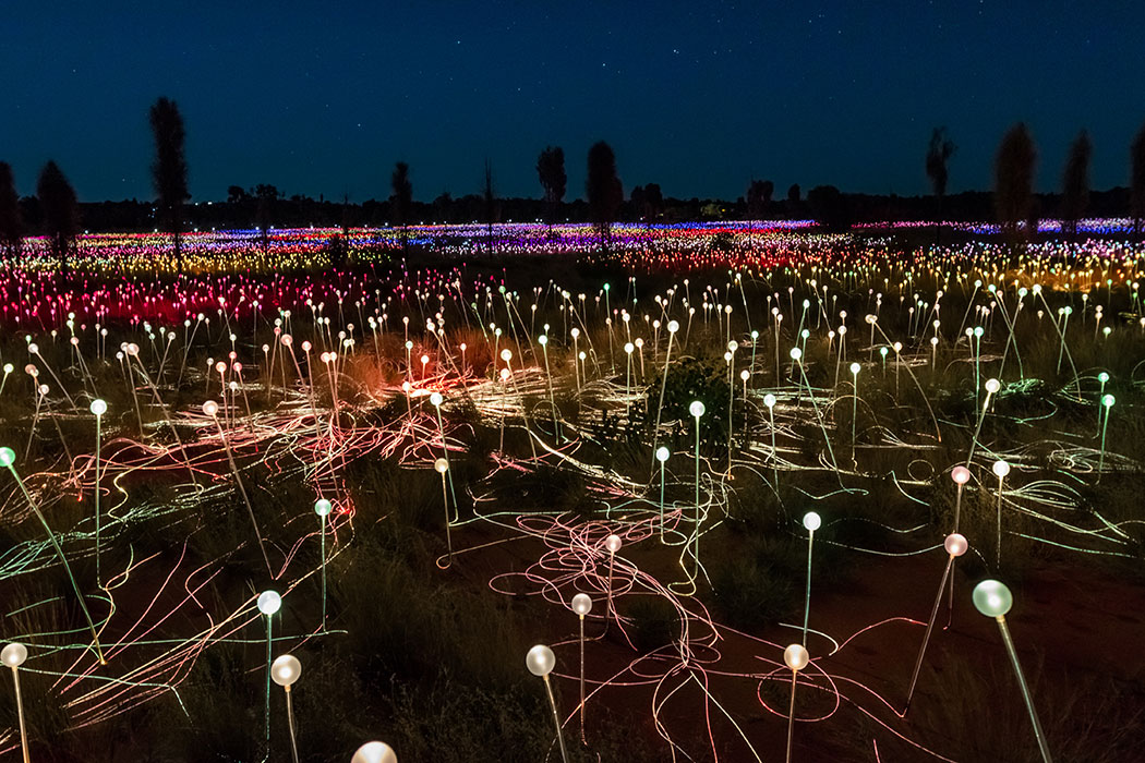 Field of Light Uluru