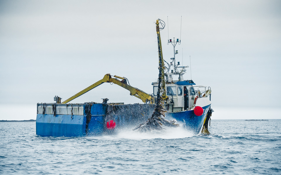 bretagne-finistere-scooby-doo-2