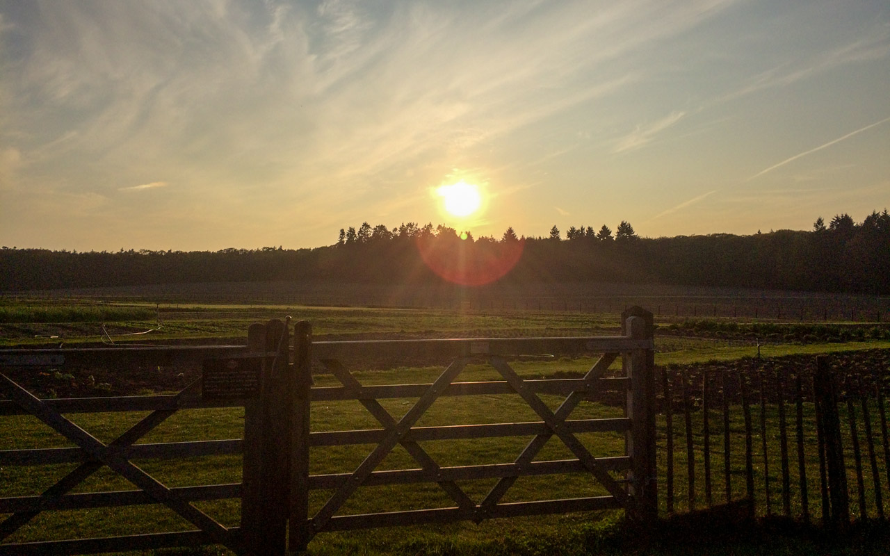 Holland Lekkerradeln Outdoor Dinner Sonnenuntergang