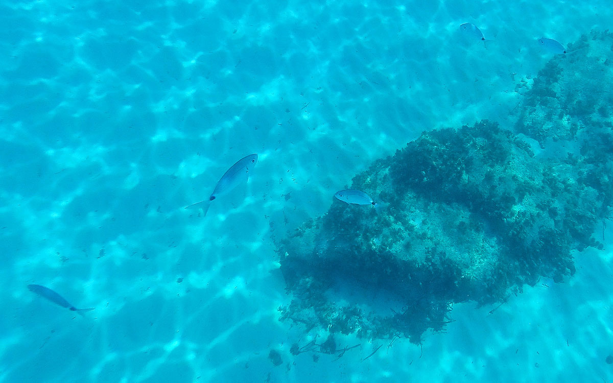 Sardinien klare Sicht im Meer