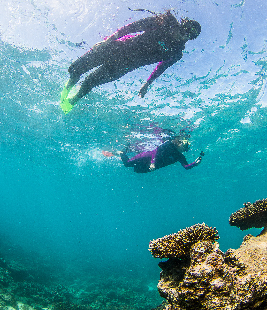 schnorcheln-korallenriff-ningaloo-reef