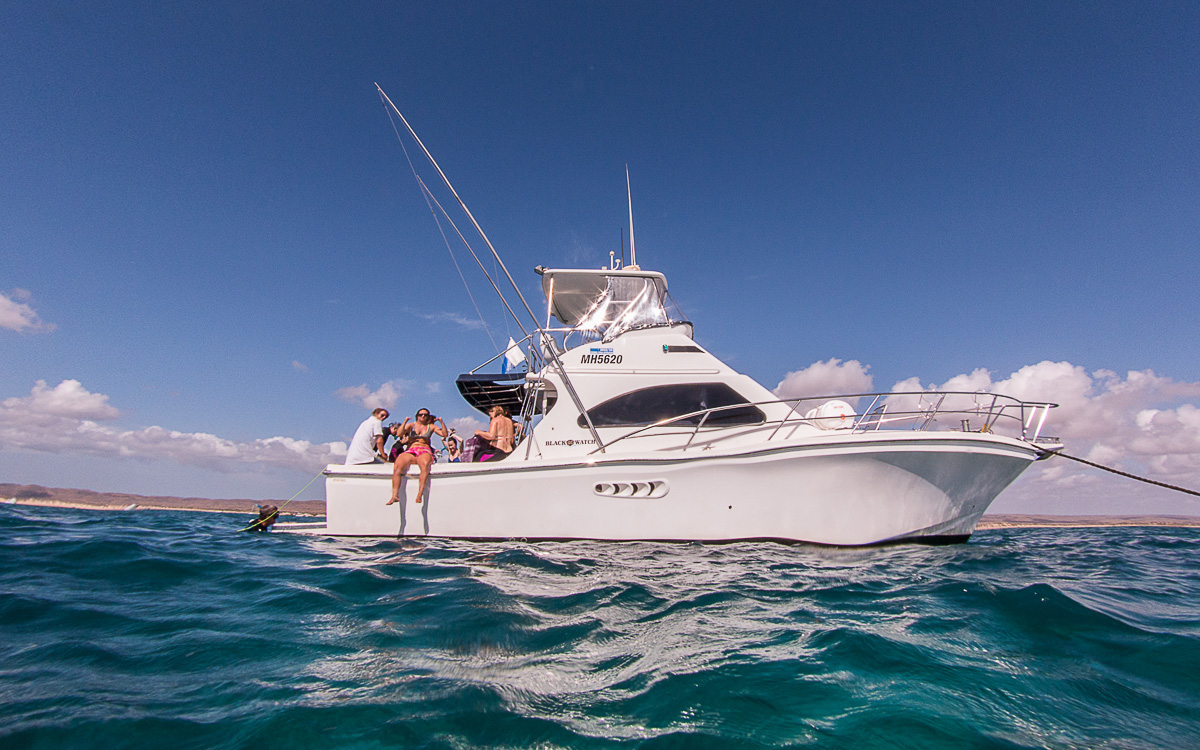 Boot Live Ningaloo Wave Rider