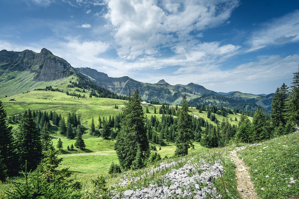 bregenzerwald-im-sommer-wandern-mellau