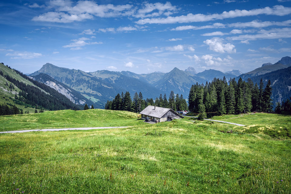 bregenzerwald-kulinarisch-wandern-alm-mellau