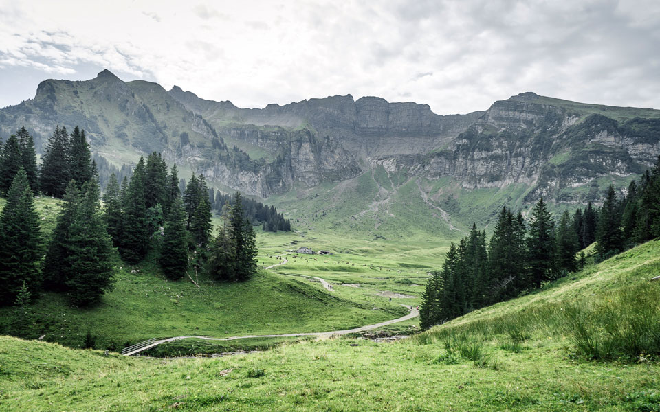 bregenzerwald-vorarlberg-wandern-sommer
