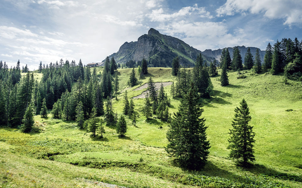 bregenzerwald-wandern-mellau-sommer