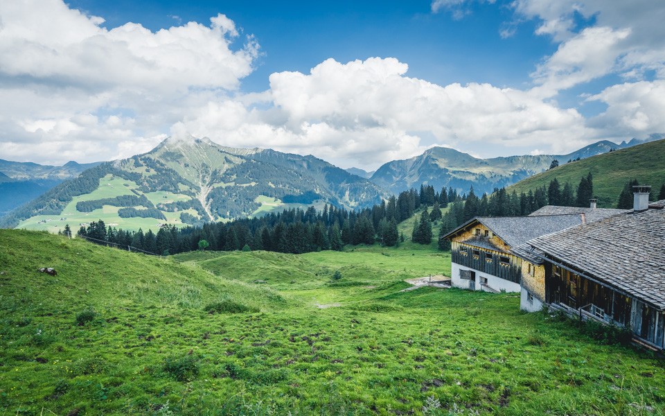grosses-walsertal-vorarlberg-sommerkulinarium