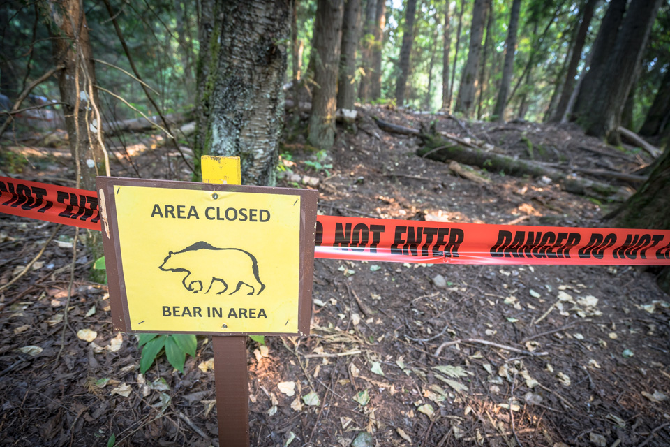 kokanee-creek-spawning-channel-baer