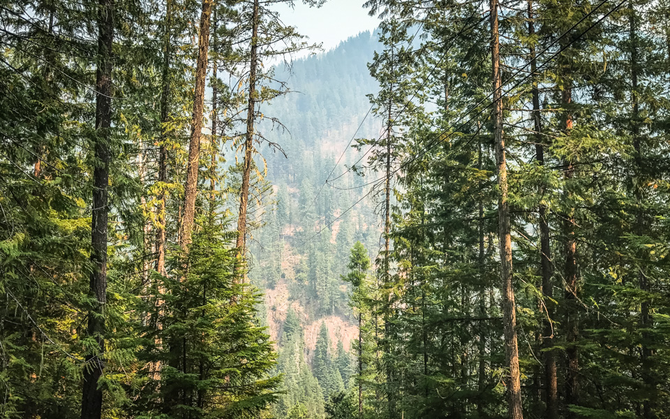 kokanee-ziplines-british-columbia