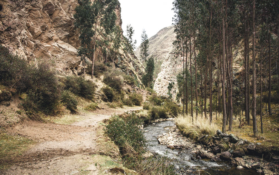 lares-trek-heiliges-tal-totora-wanderunglares-trek-heiliges-tal-totora-wanderung
