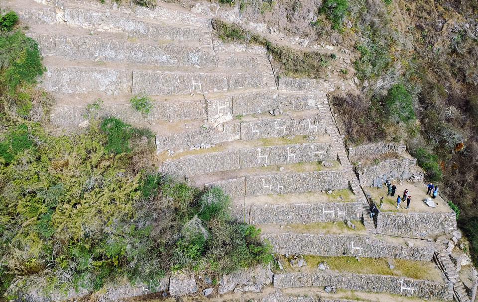 Lama Terrassen Choquequirao Luftaufnahme