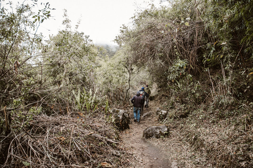 choquequirao-tag-2-weg-inkaruinen