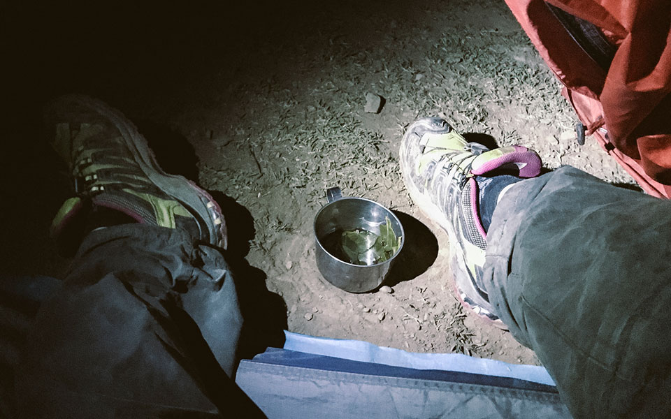 choquequirao-tag-4-coca-tee