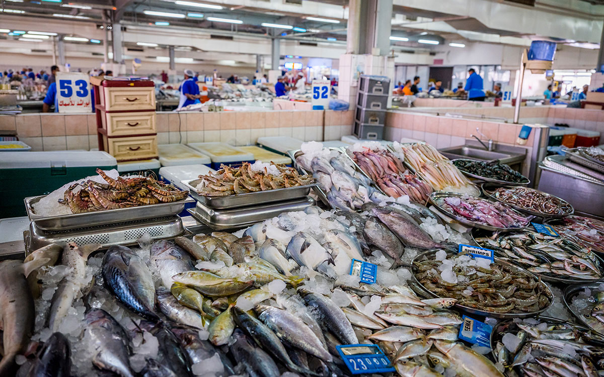abu-dhabi-tipp-fischmarkt