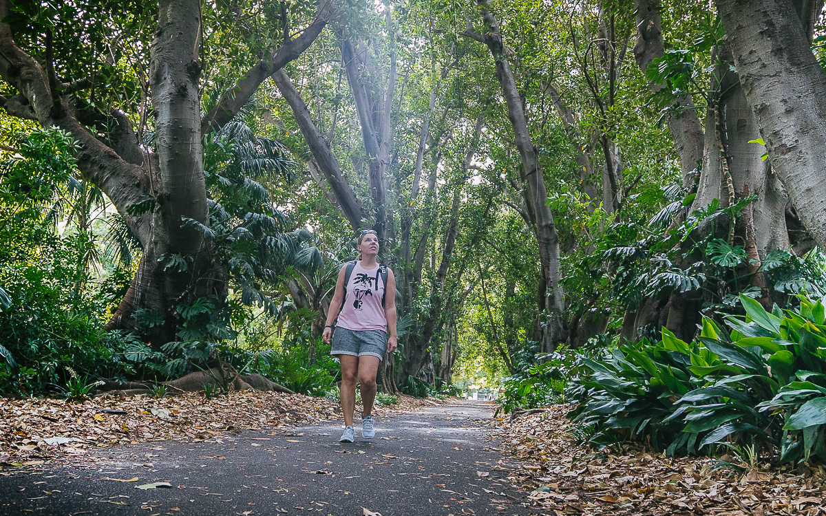 Botanischer Garten Adelaide | Australien