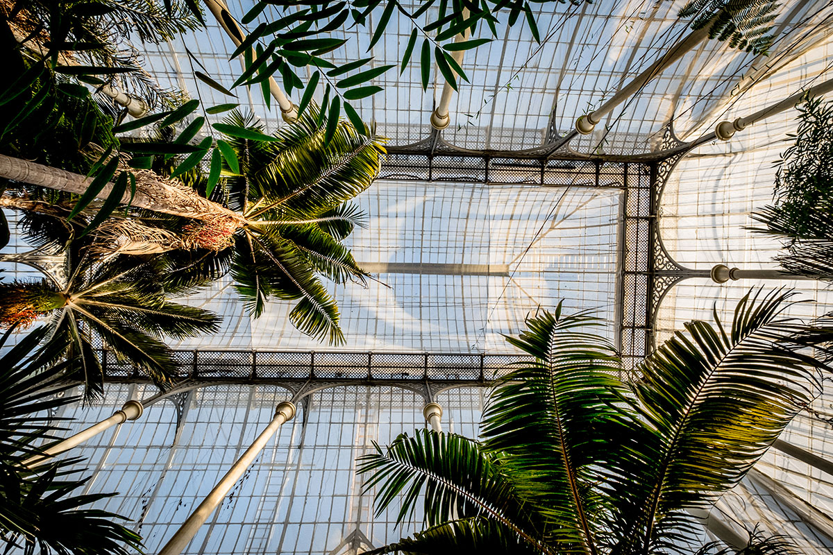 Glashaus Royal Botanic Garden Edinburgh