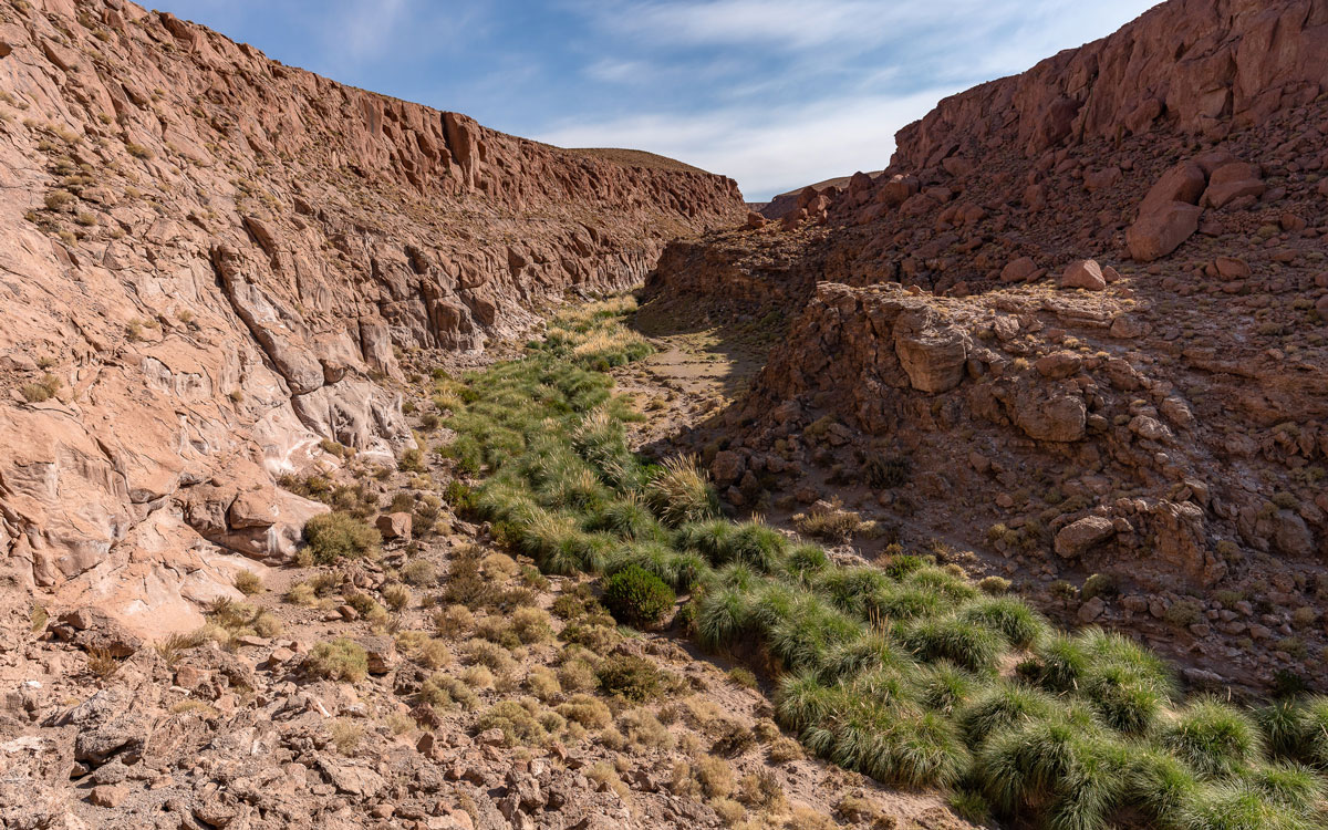 Wanderung im Puritama Tal, Atacama-Wüste Chile