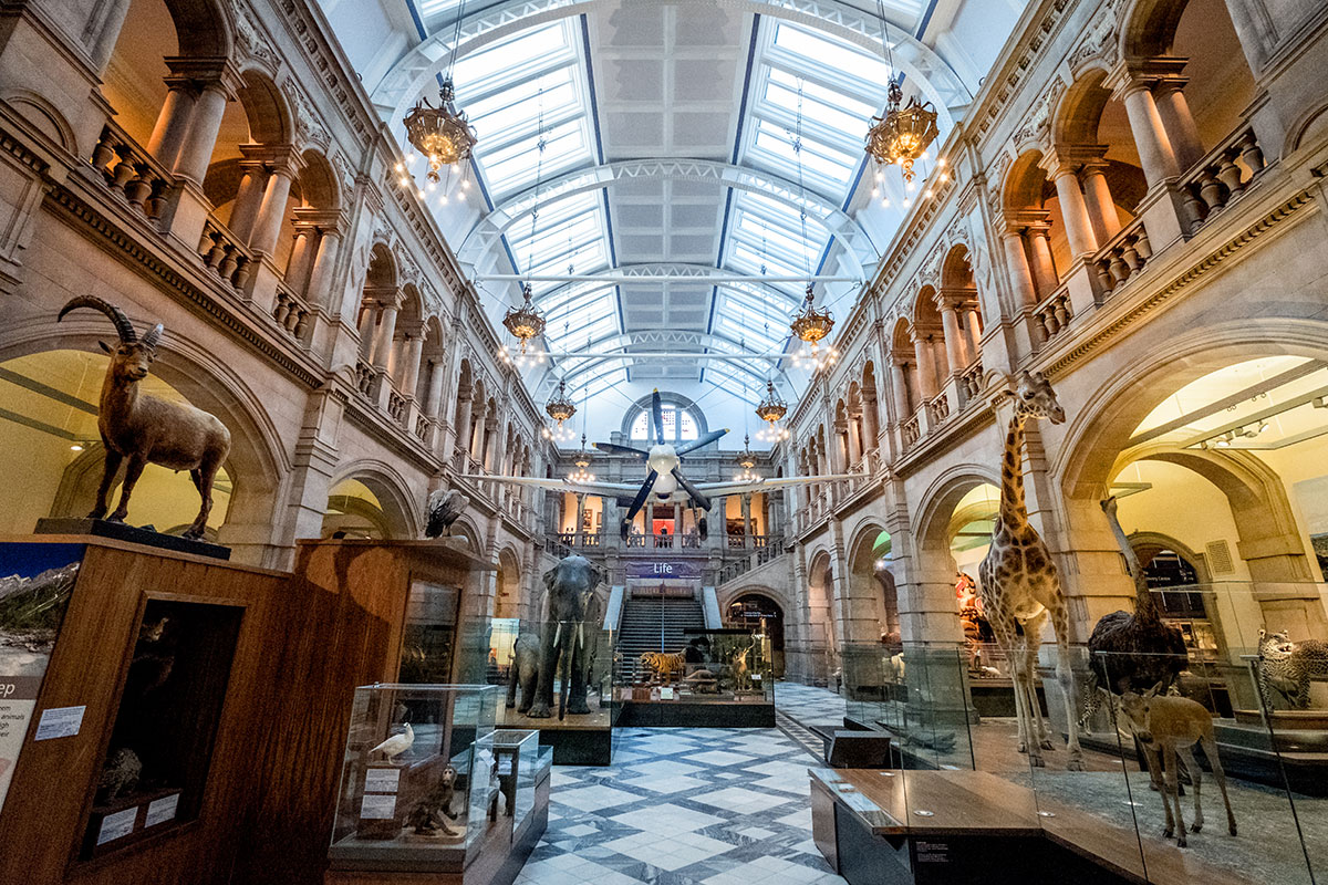 glasgow-kelvingrove-museum