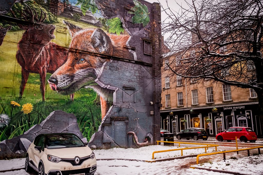 glasgow-street-art-ingram-street-smug