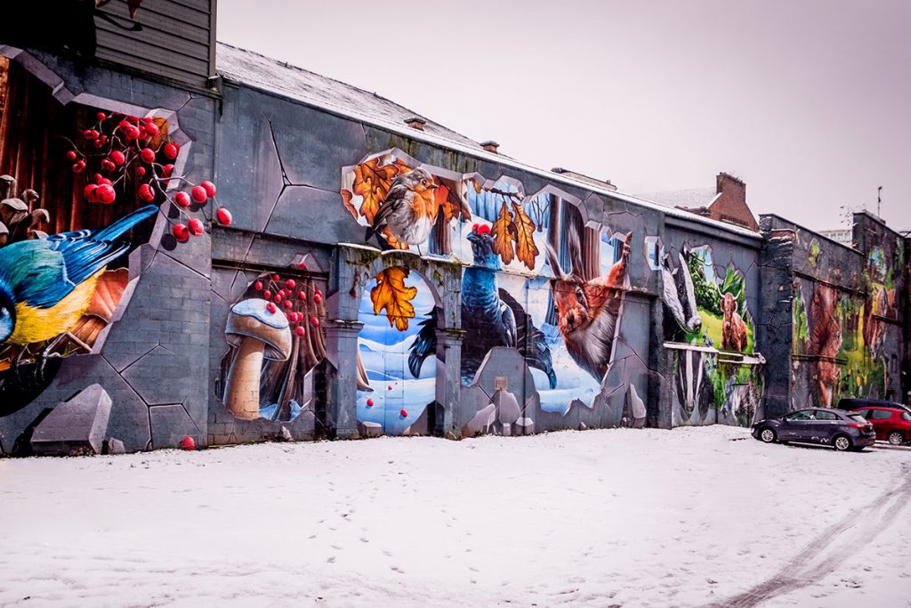 glasgow-street-art-ingram-street-smug2