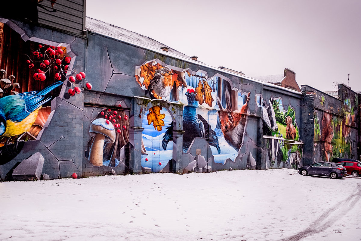 glasgow-street-art-ingram-street-smug2