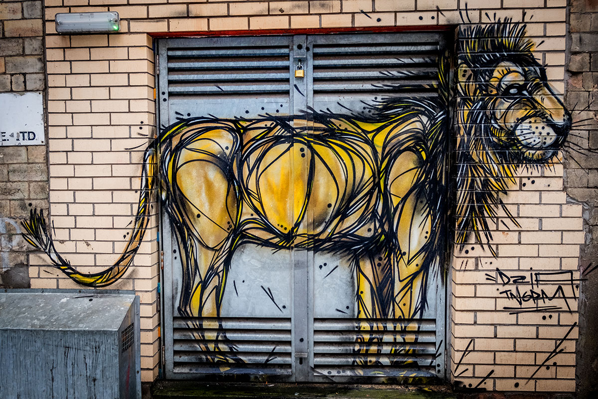 glasgow-streetart-dzia-cecil-lion