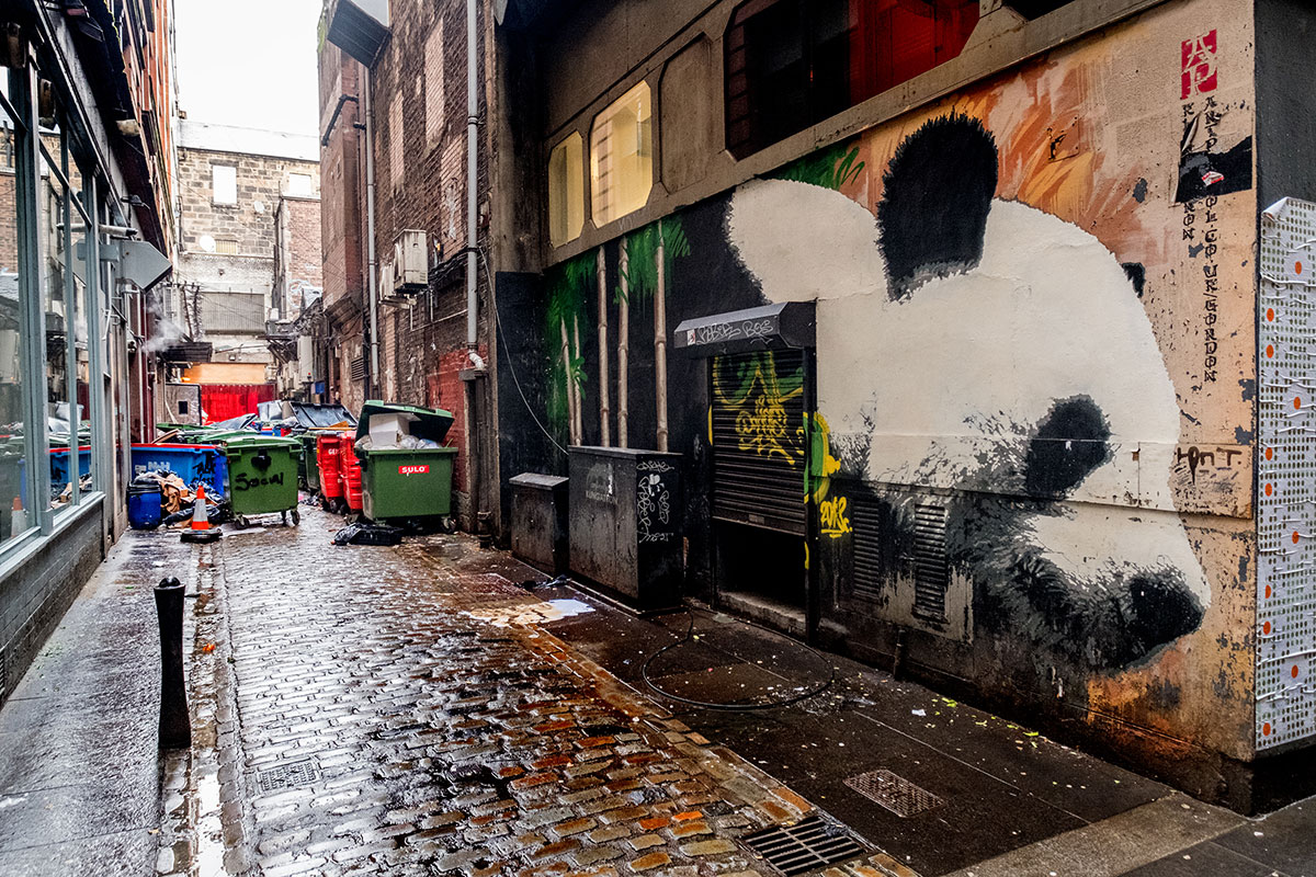 glasgow-streetart-panda