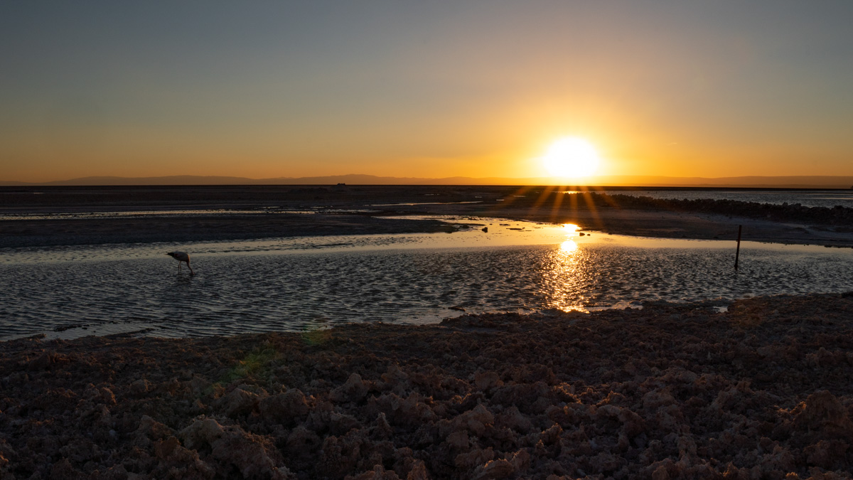 Lagune Chaxa Sonnenuntergang Atacama-Wüste Chile
