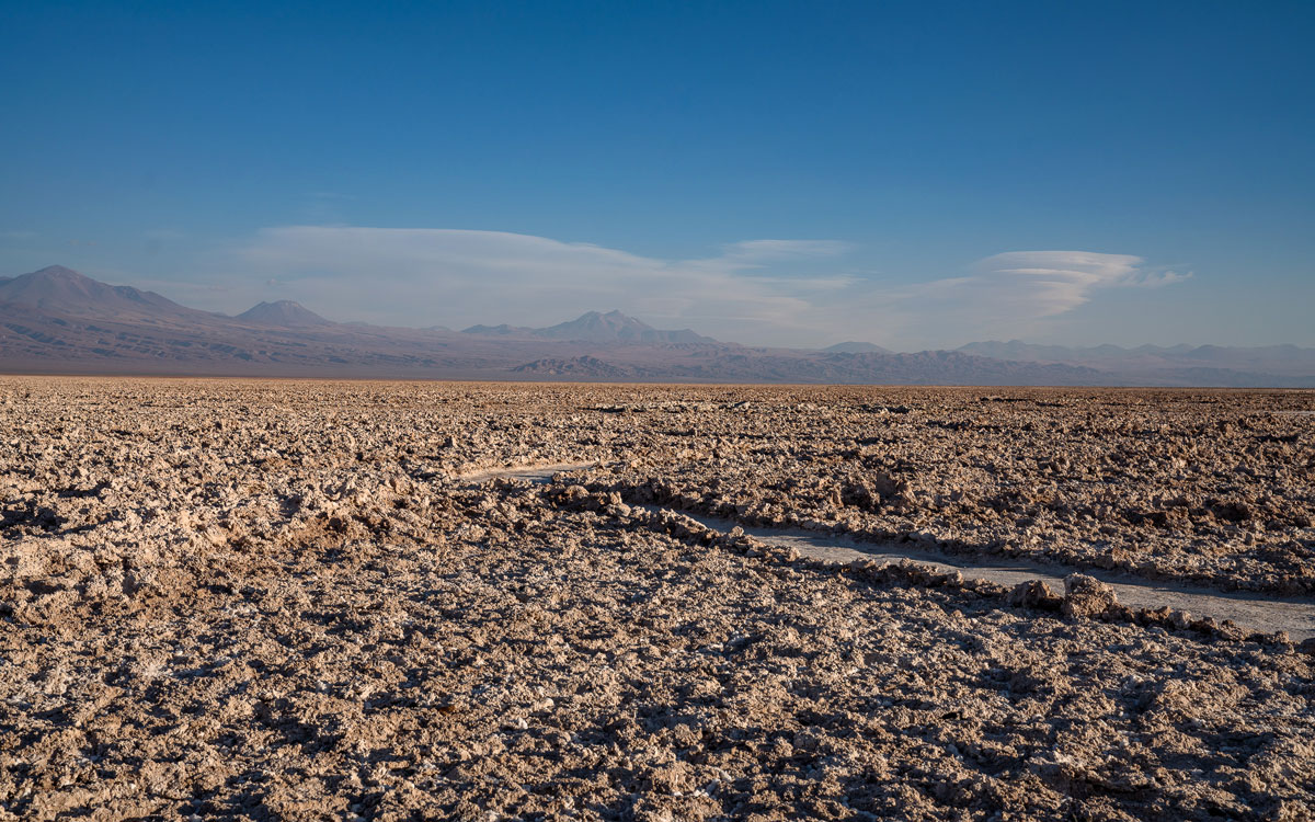 Laguna Chaxa Salar de Atacama Chile