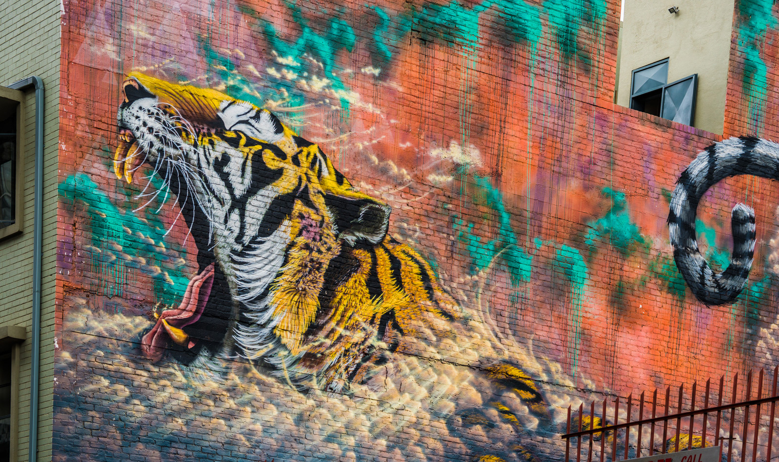 street-art-tiger-maboneng-johannesburg