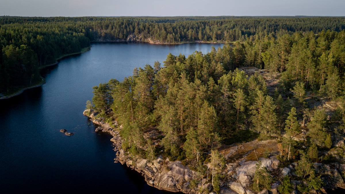 Teijo Nationalpark Luftaufnahme