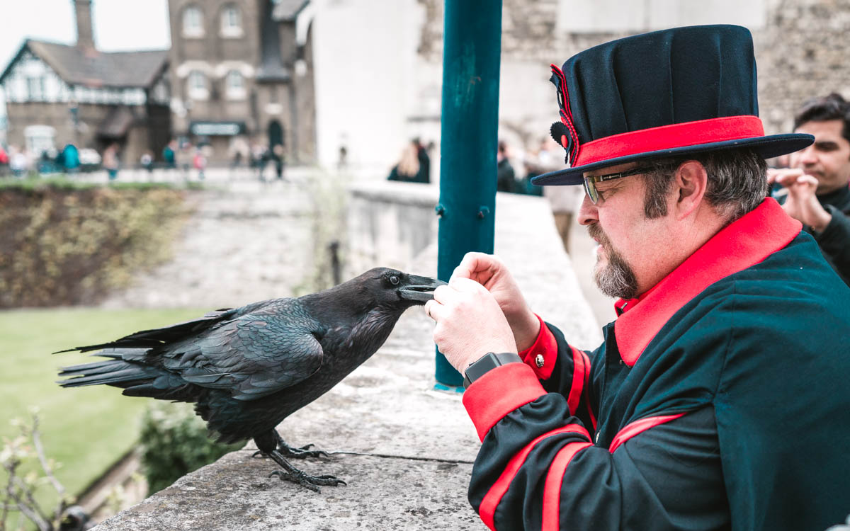 Rabenmeister Tower of London