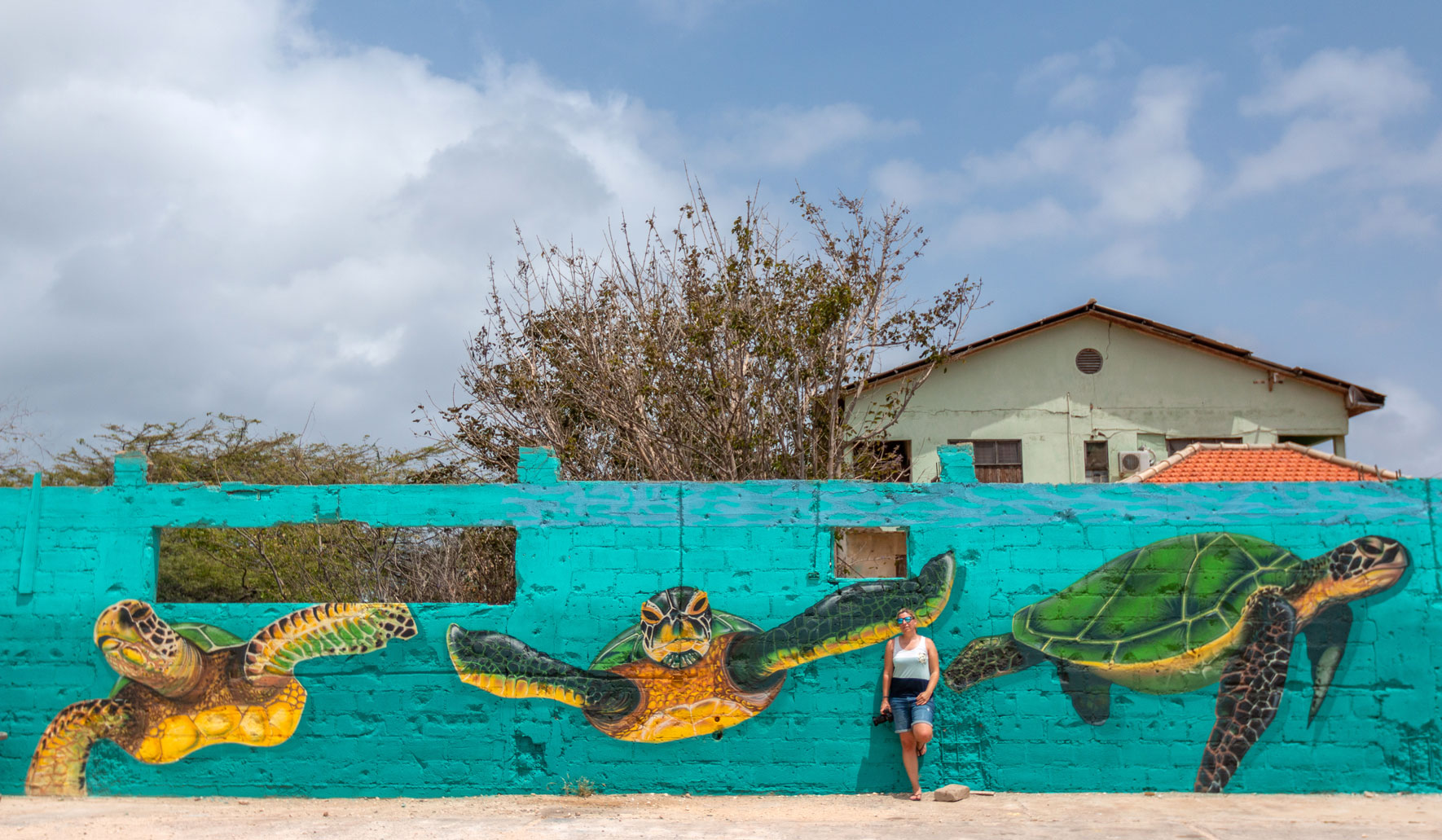 "Save the Turtles" Ice One | Street Art San Nicolas