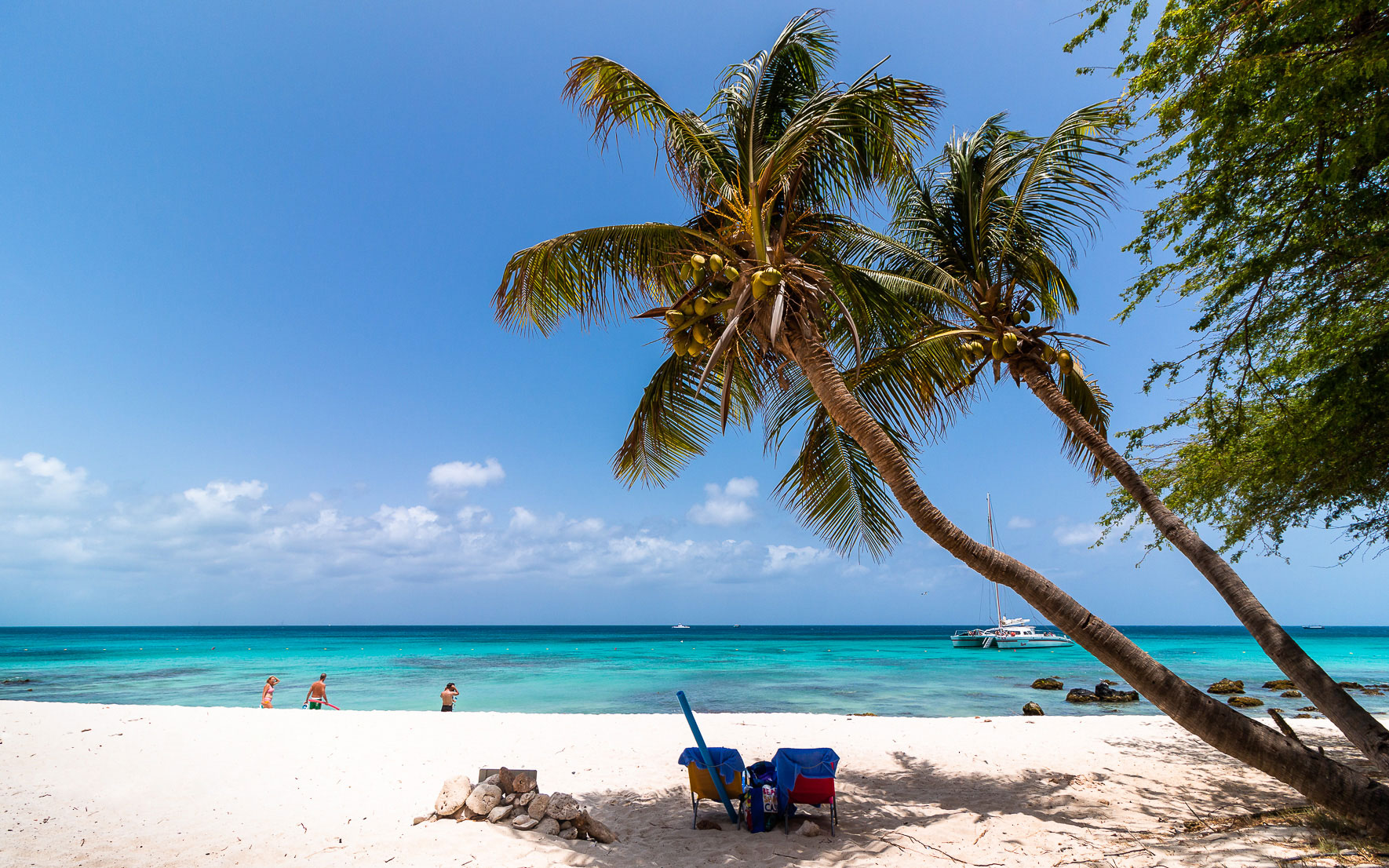 Boca Catalina, Palmen. Aruba