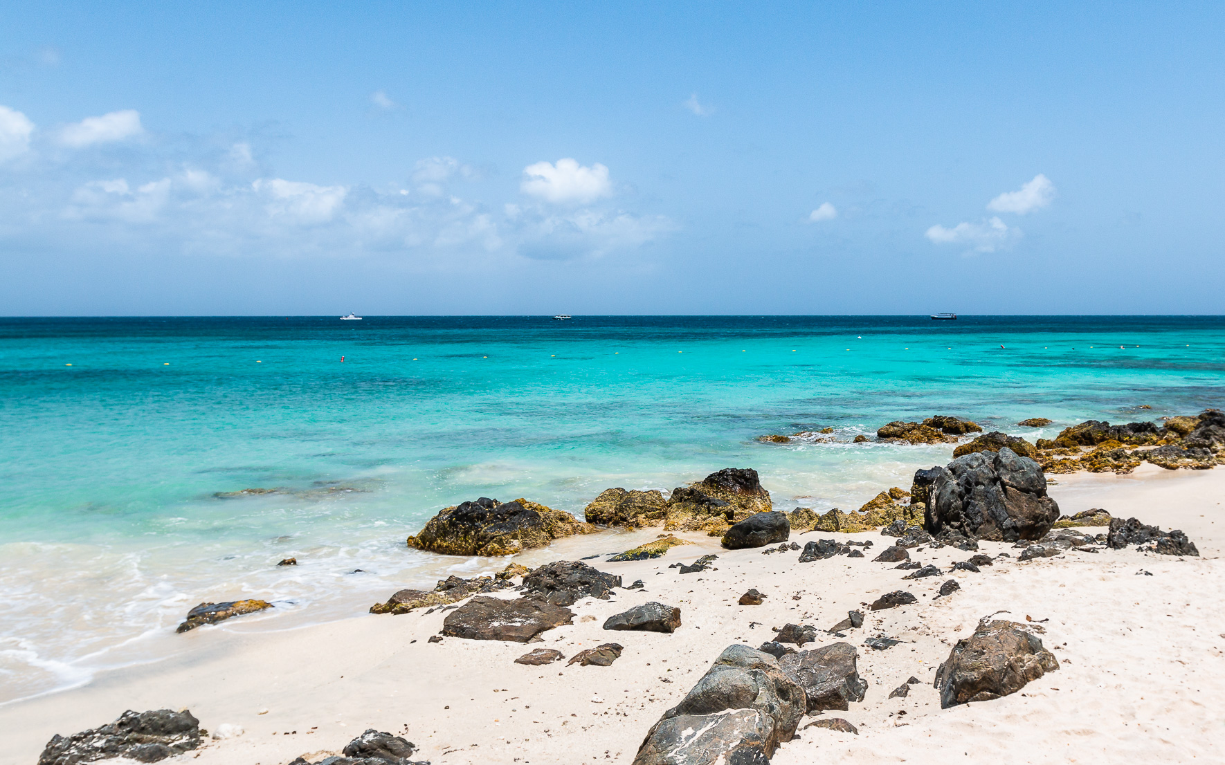 Natur Malmok Beach Aruba