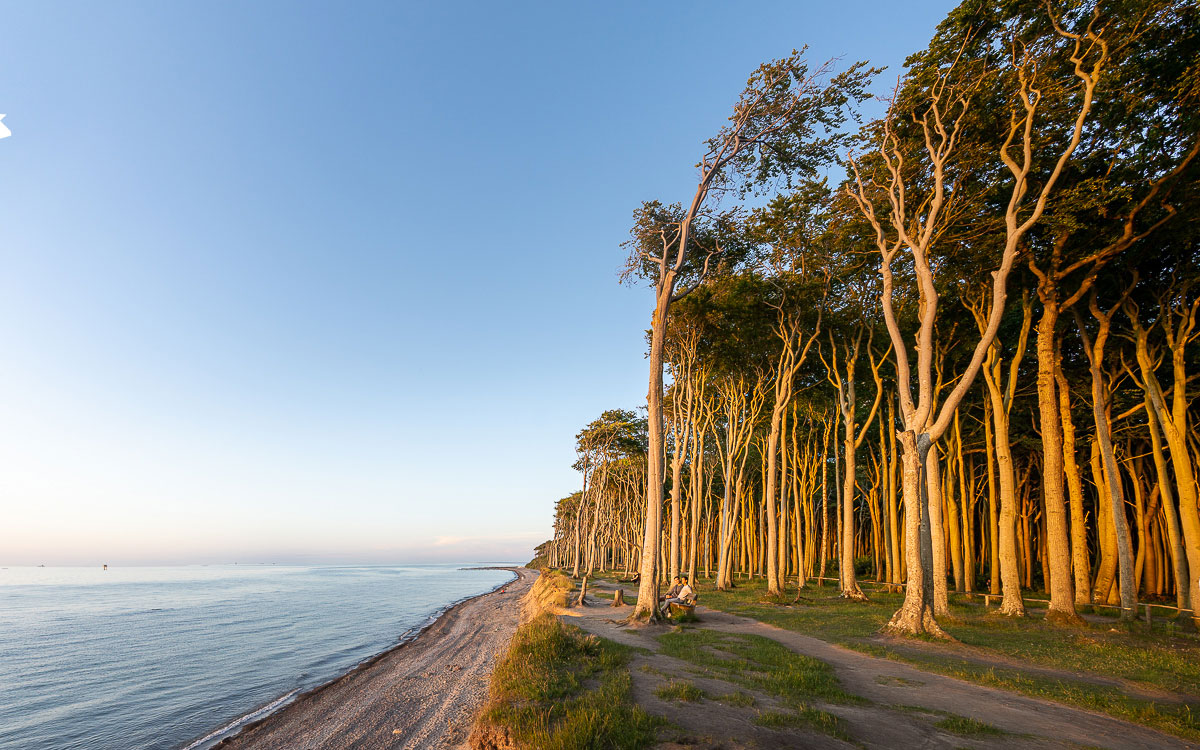 Gespensterwald Nienhagen