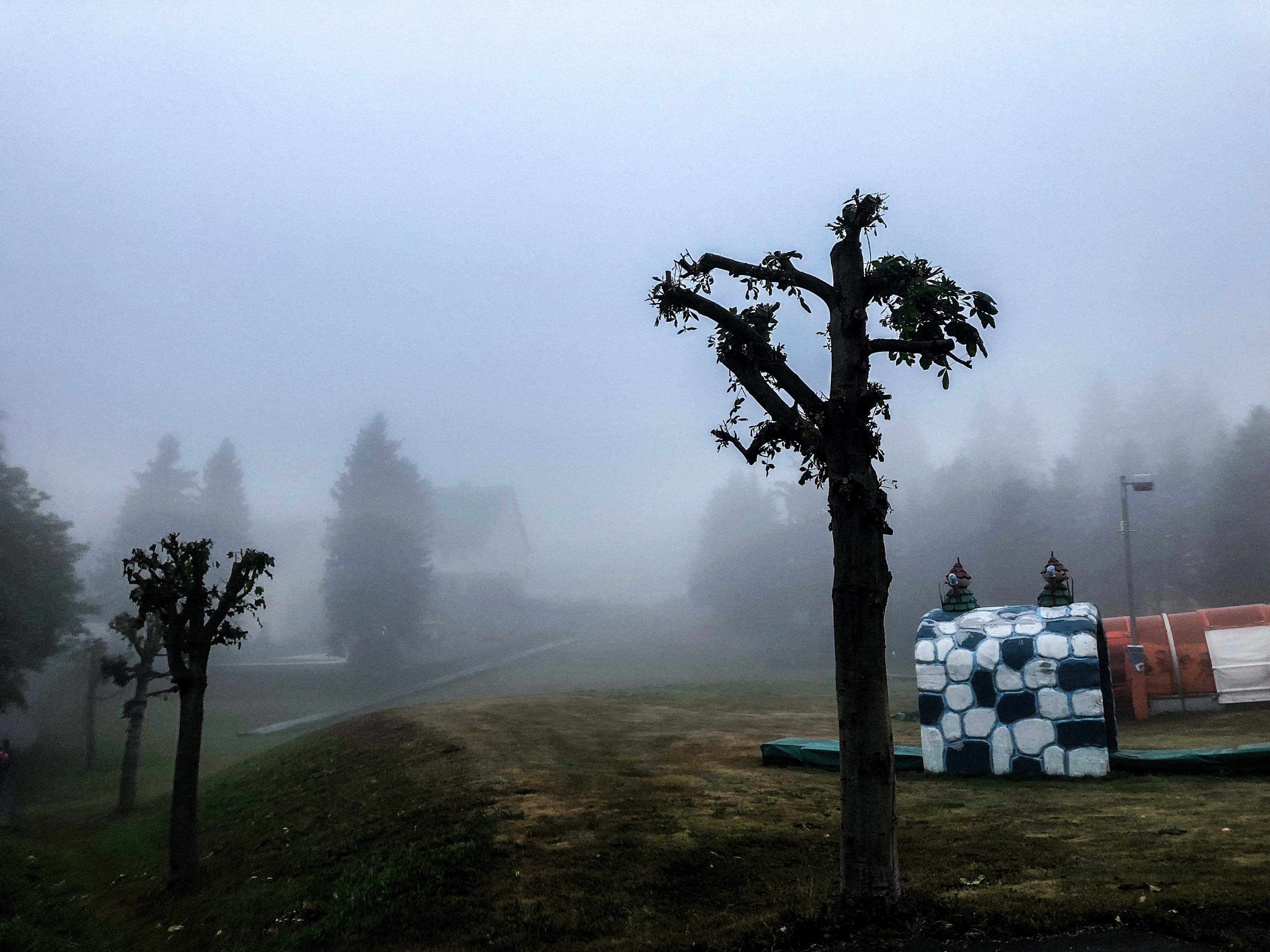 Oberwiesenthal Nebel Erzgebirge