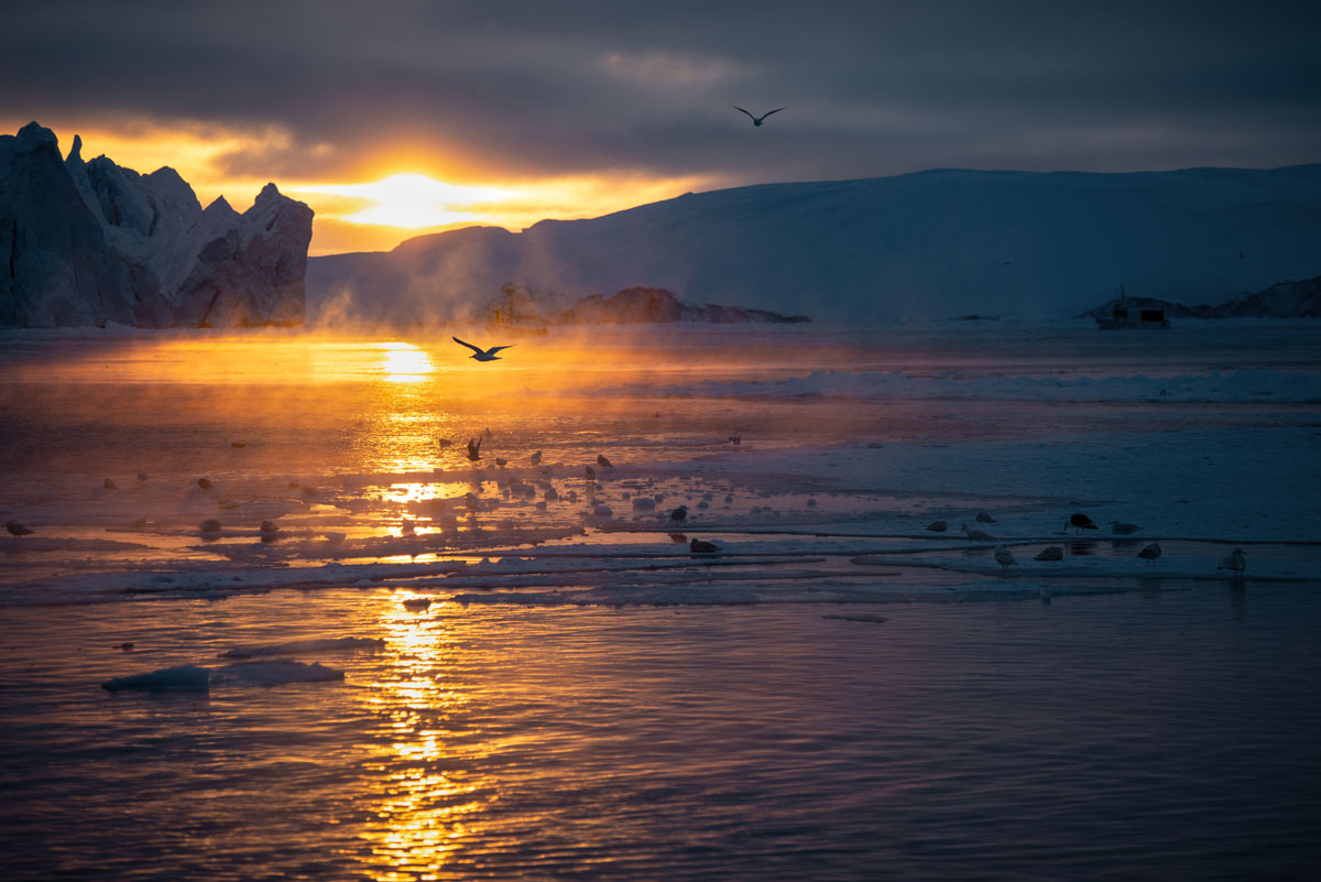 diskobucht-groenland-2