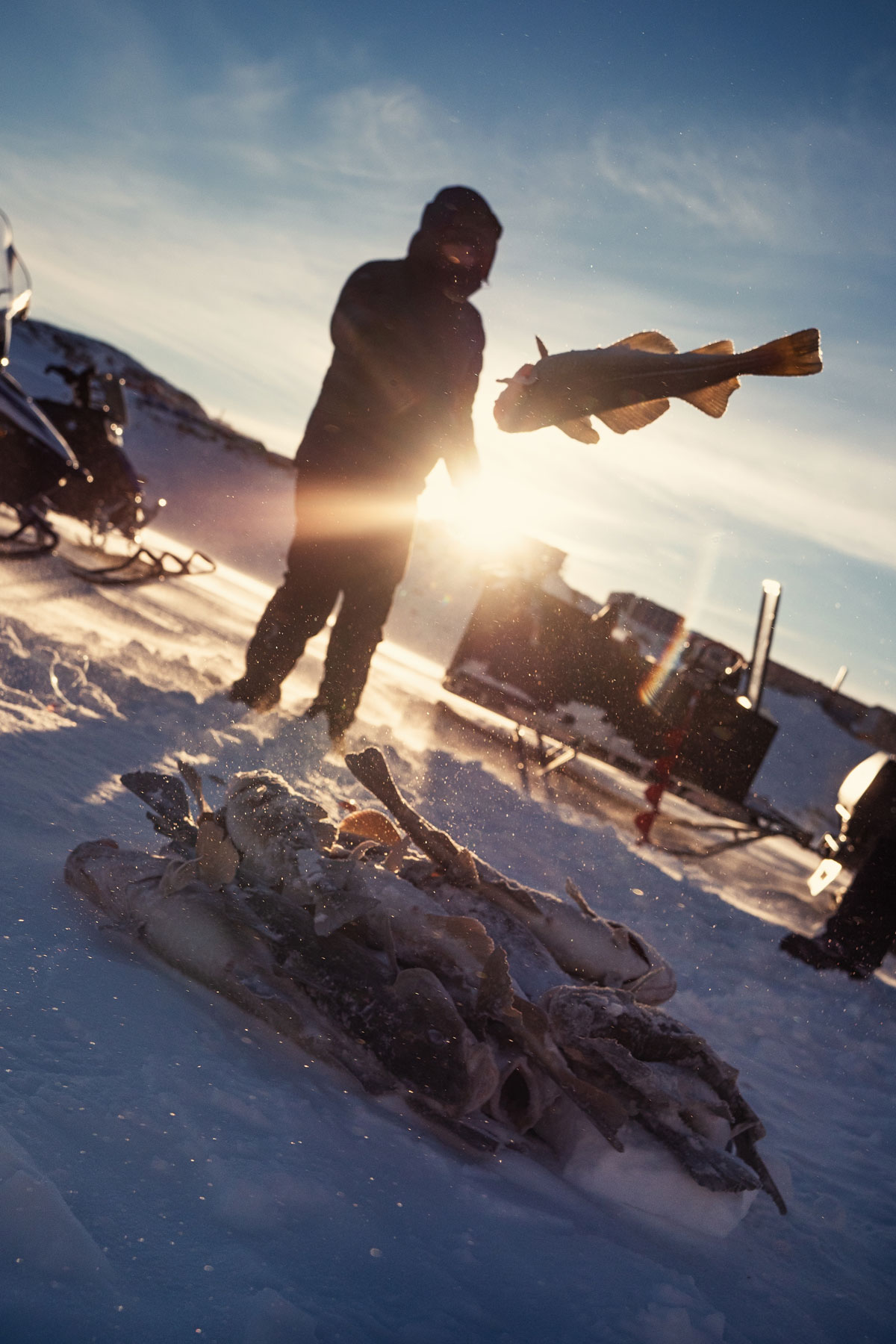 Fisch angeln Sisimiut