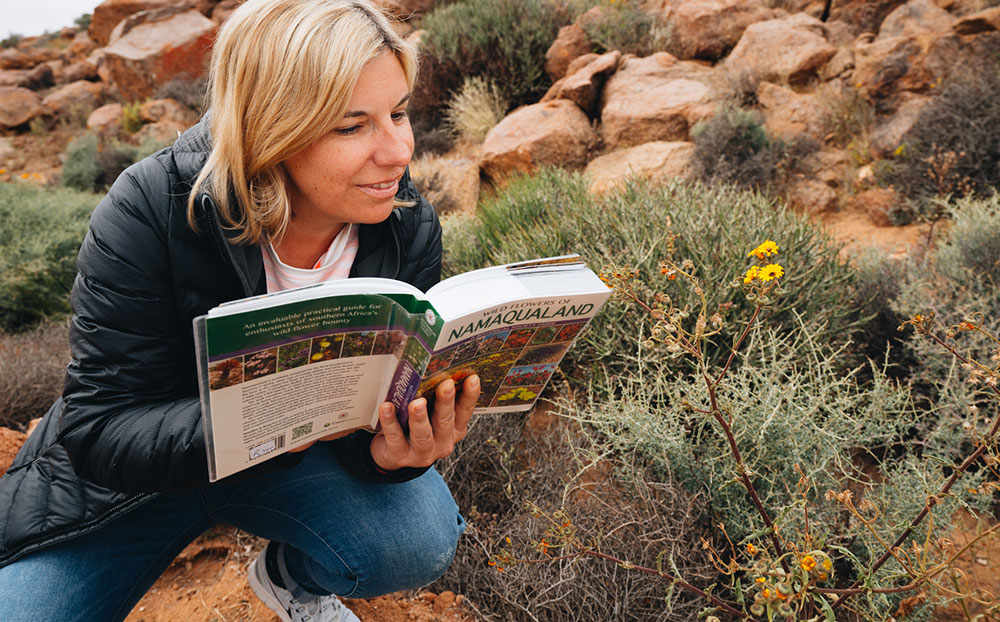 Geo Gap National Parl