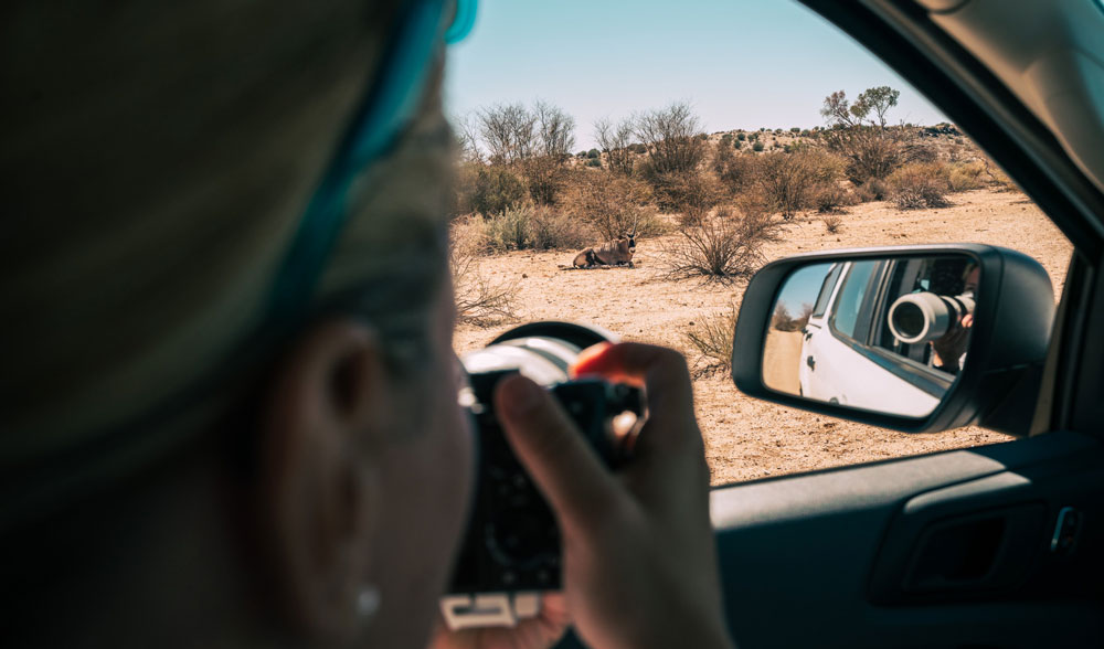 Oryx beim Game Drive fotografieren