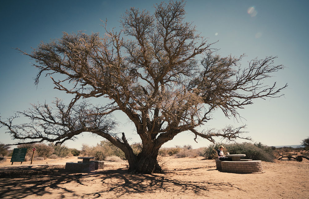 Picknick und Pause im Augrabies Falls NP